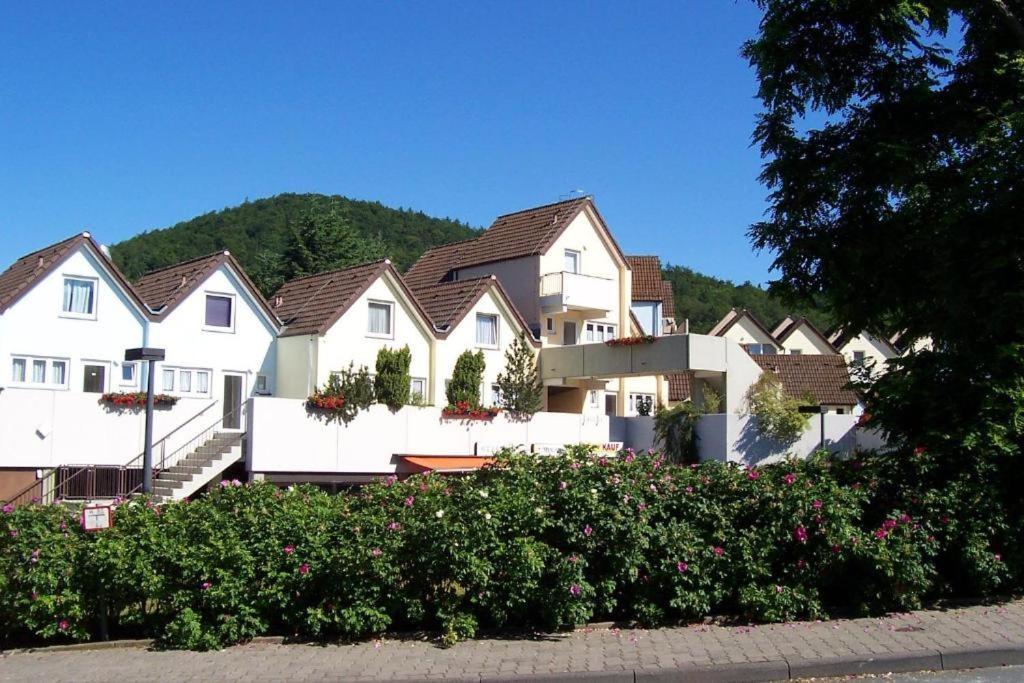 Seeblick Geniessen In Schoener Fewo Am Edersee Scheid  Exteriér fotografie